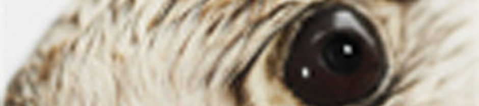 bloglarge5
